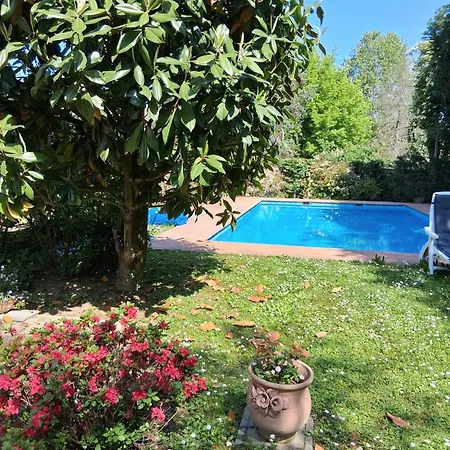 Guesthost - La Casa Nel Pineto With Pool & Parking Apartamento